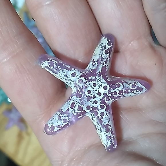 Starfish- various colours - Picture 3 of 8